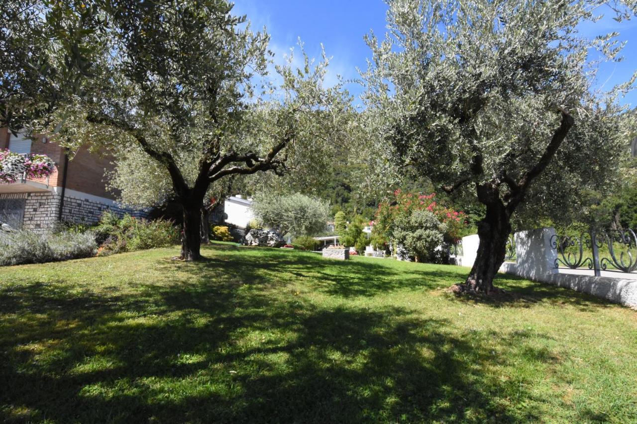 Residence Gonda&Giuliano Борсо-дель-Граппа Екстер'єр фото